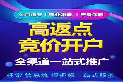 竞价推广实战攻略：成功案例分享